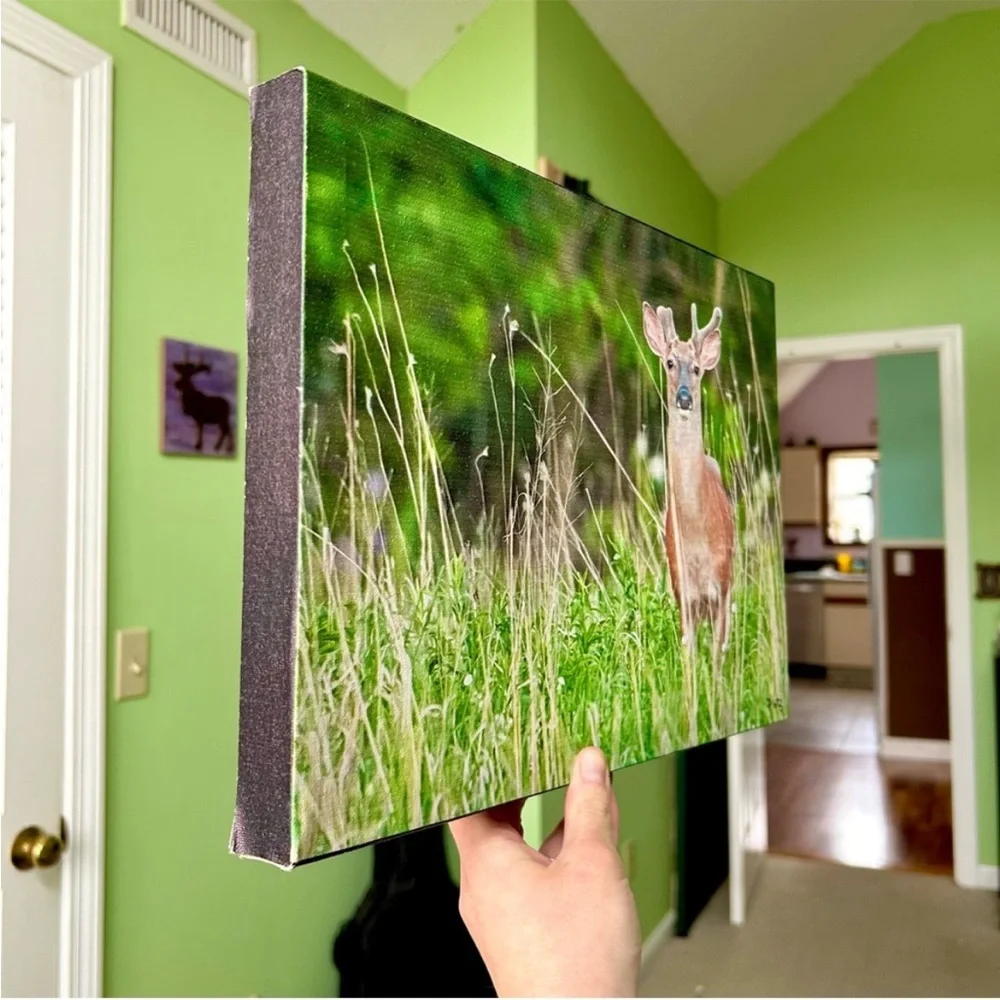Still Life Deer Woods Cabin Nature Animal Canvas Wall Decor Accent Farmhouse
